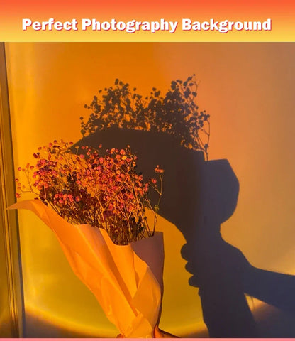 Photography Sunset Background Light