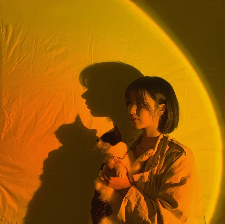 Photography Sunset Background Light